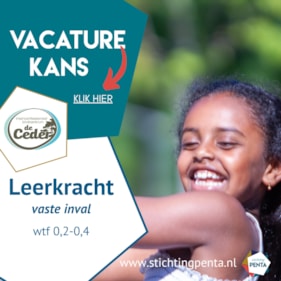 Ceder vaste inval met link naar meesterbaan (1)