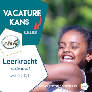 Ceder vaste inval met link naar meesterbaan (1)